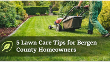 5 Lawn Care Tips for Bergen County Homeowners