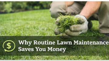 Why Routine Lawn Maintenance Saves You Money