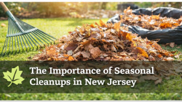 The Importance of Seasonal Cleanups in New Jersey