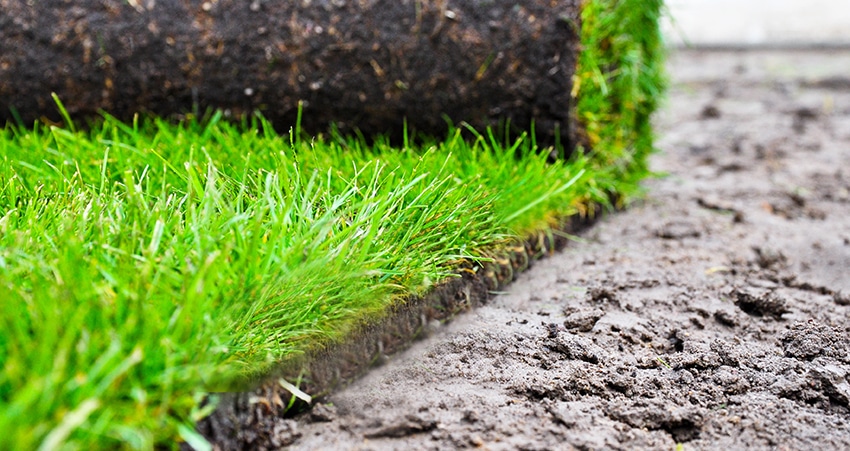 Lawn & Garden Care
