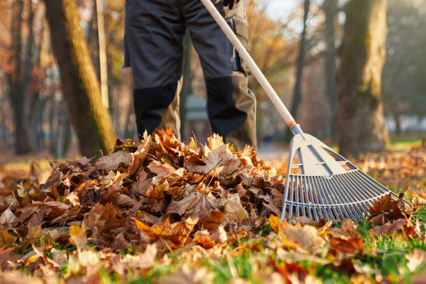 Planting & Removal