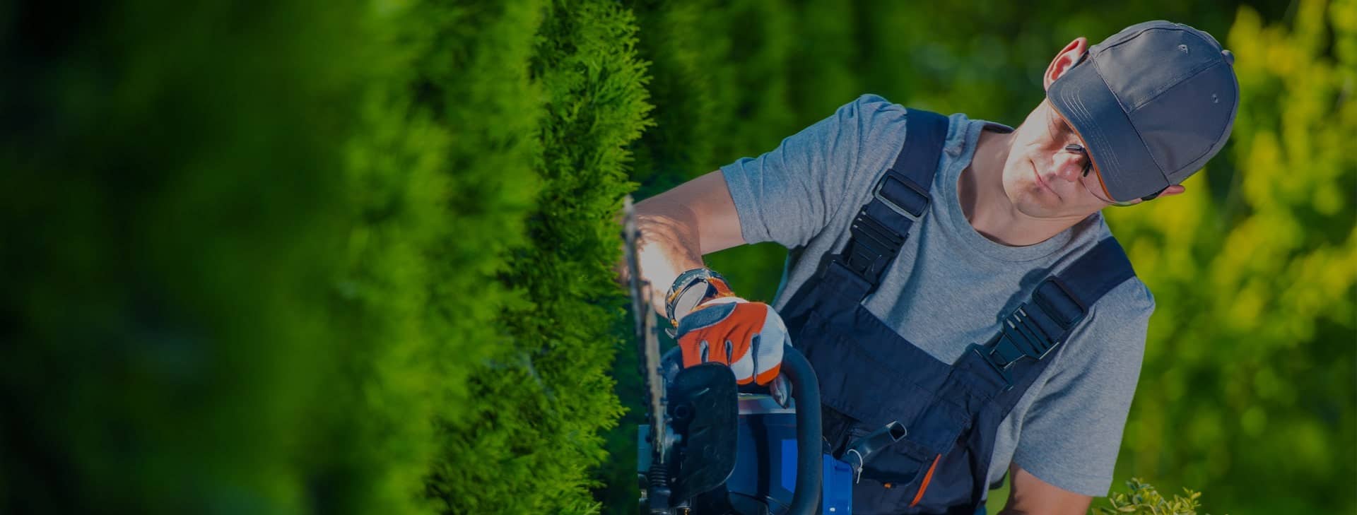 We provide landscaping services since 1978